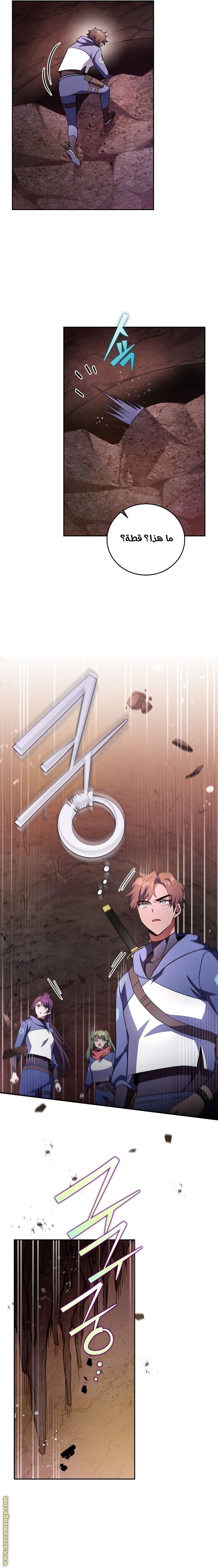 الصفحة 13
