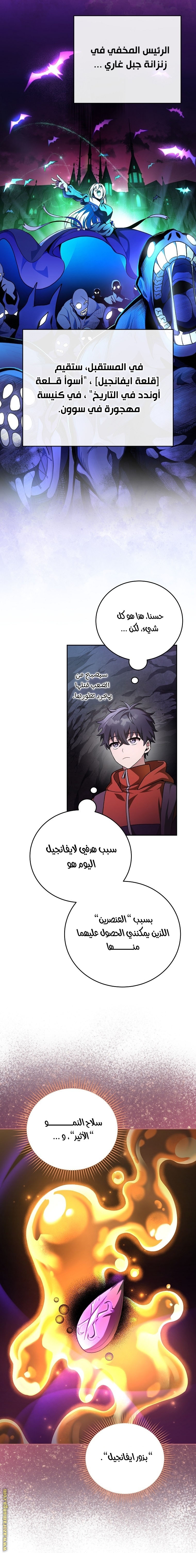 الصفحة 13