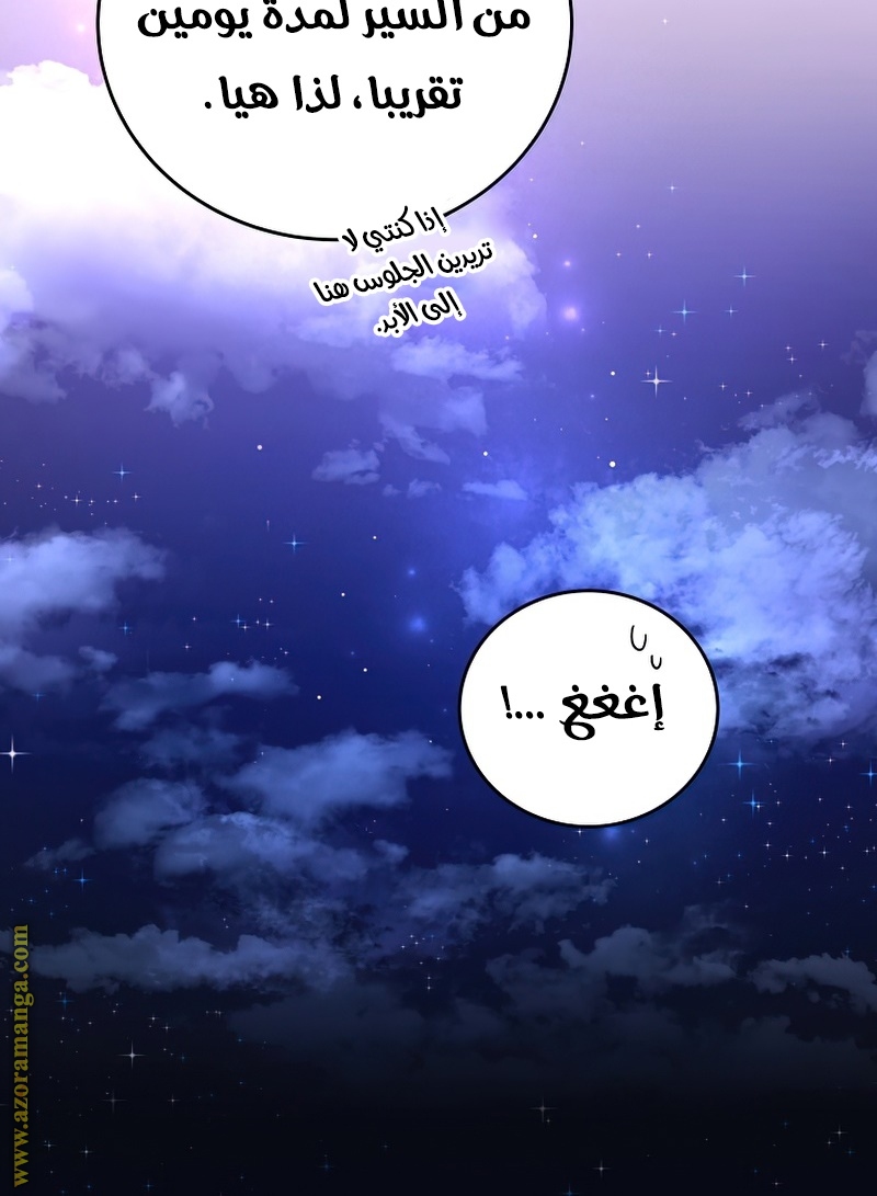 الصفحة 25