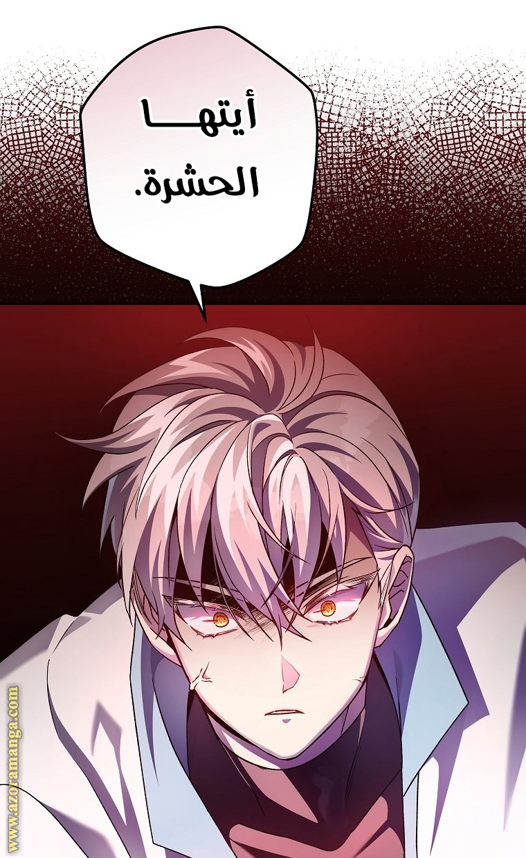 الصفحة 29