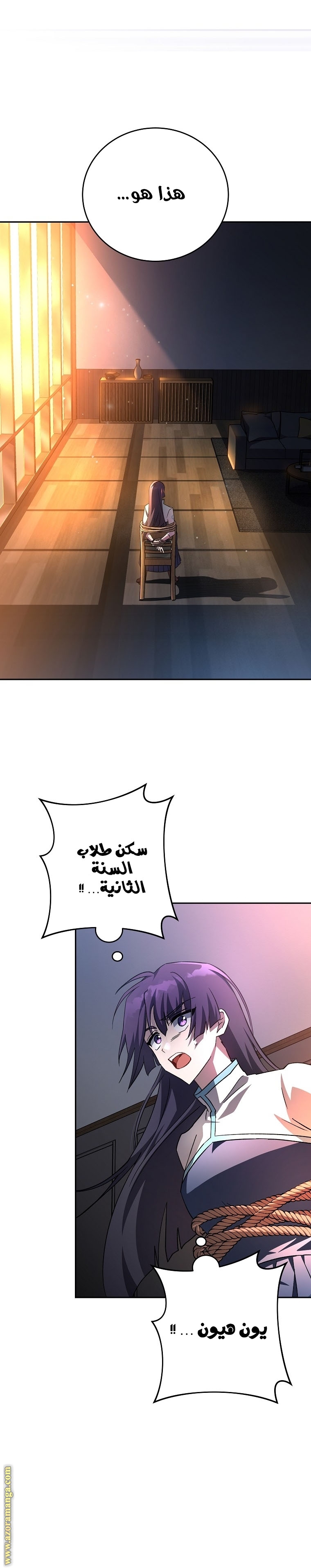 الصفحة 17