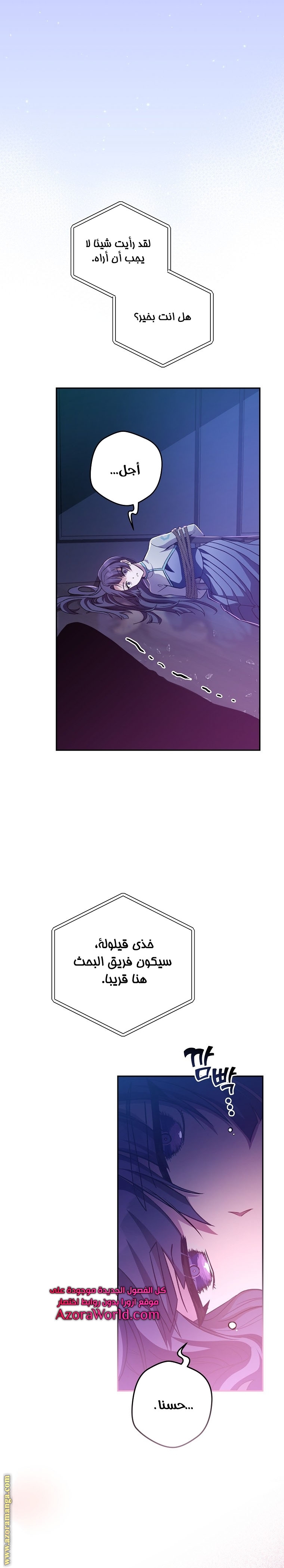 الصفحة 17