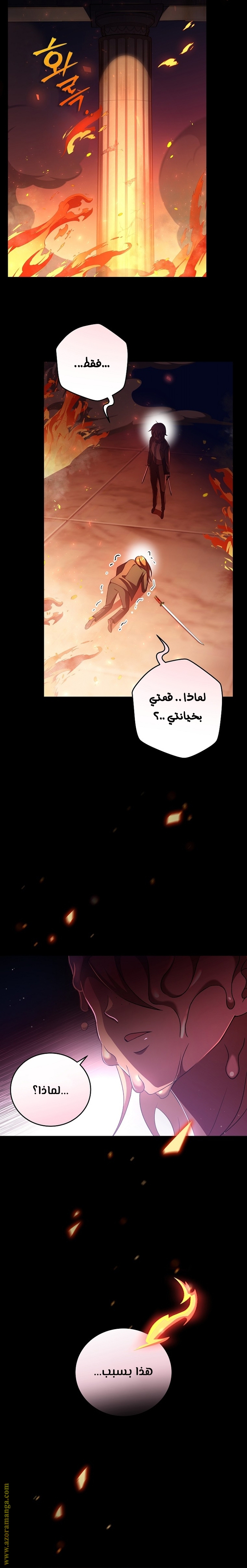 الصفحة 20