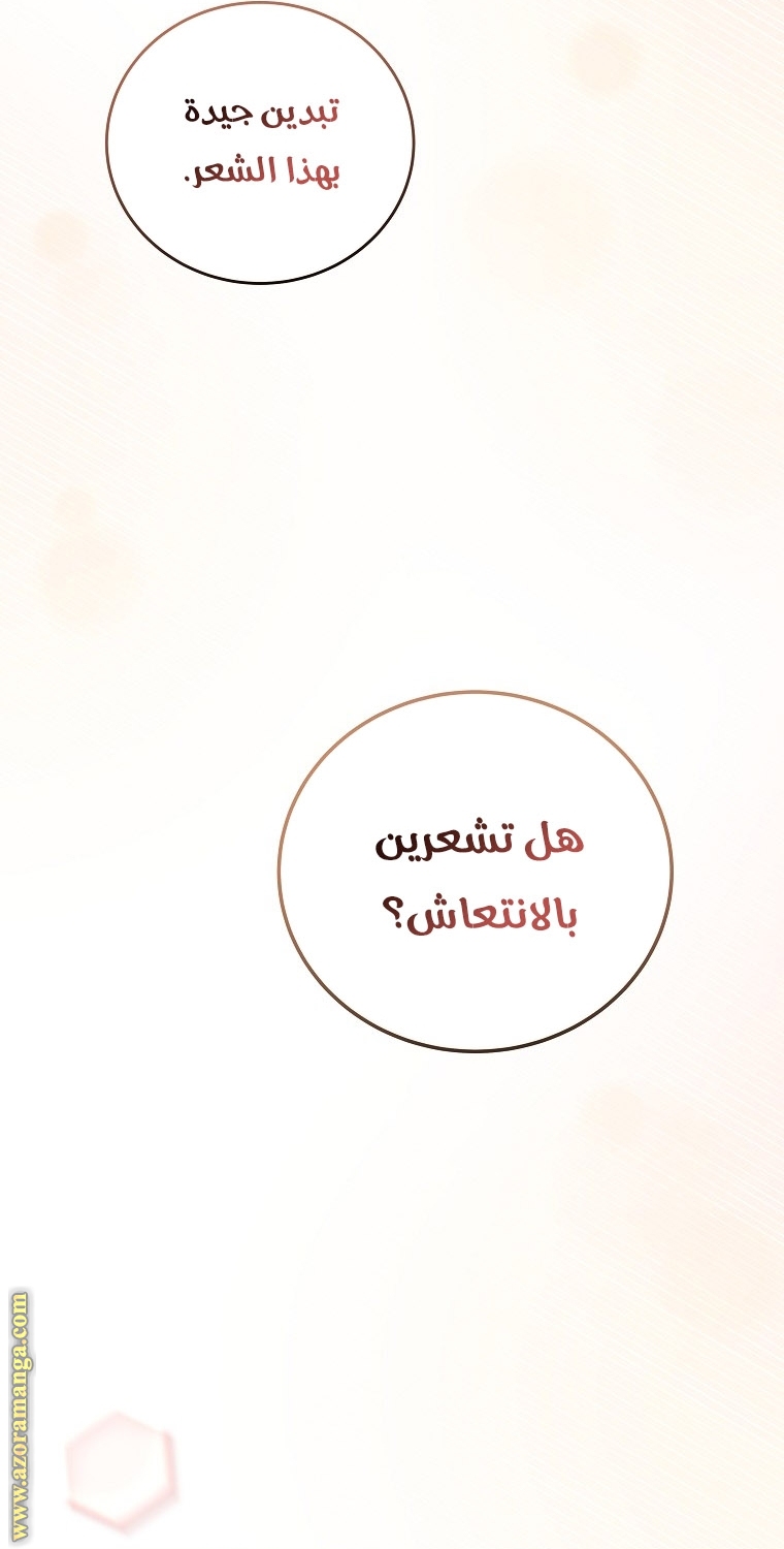 الصفحة 24