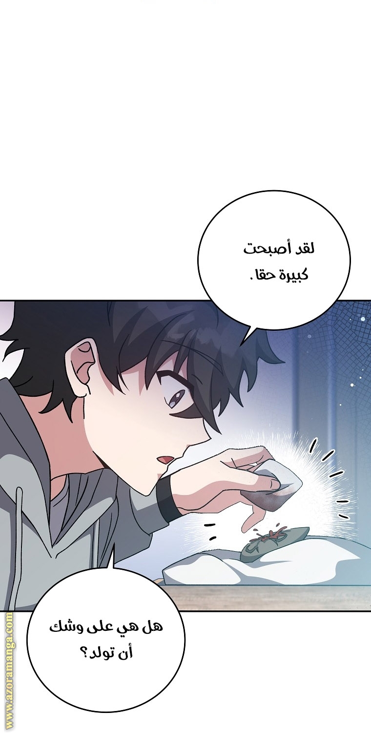 الصفحة 46
