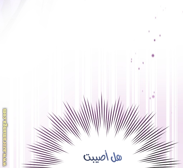 الصفحة 2