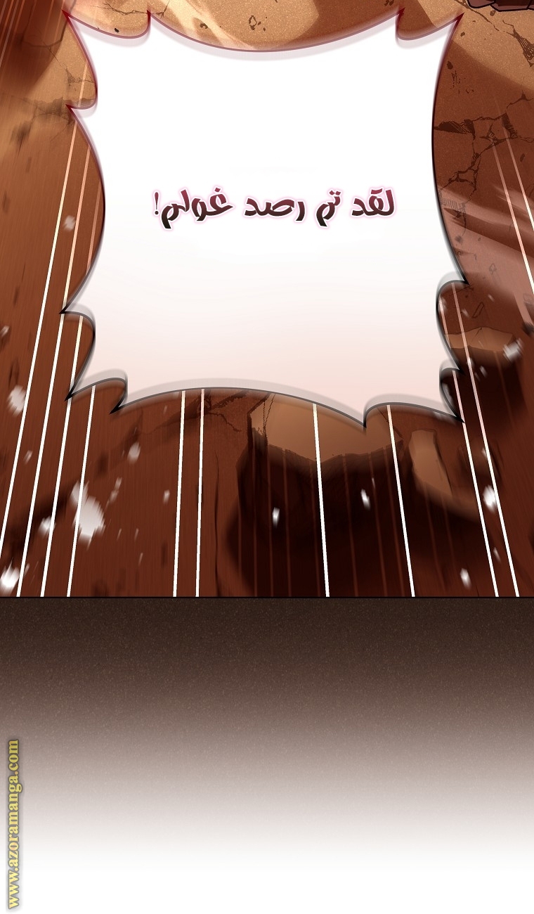 الصفحة 39