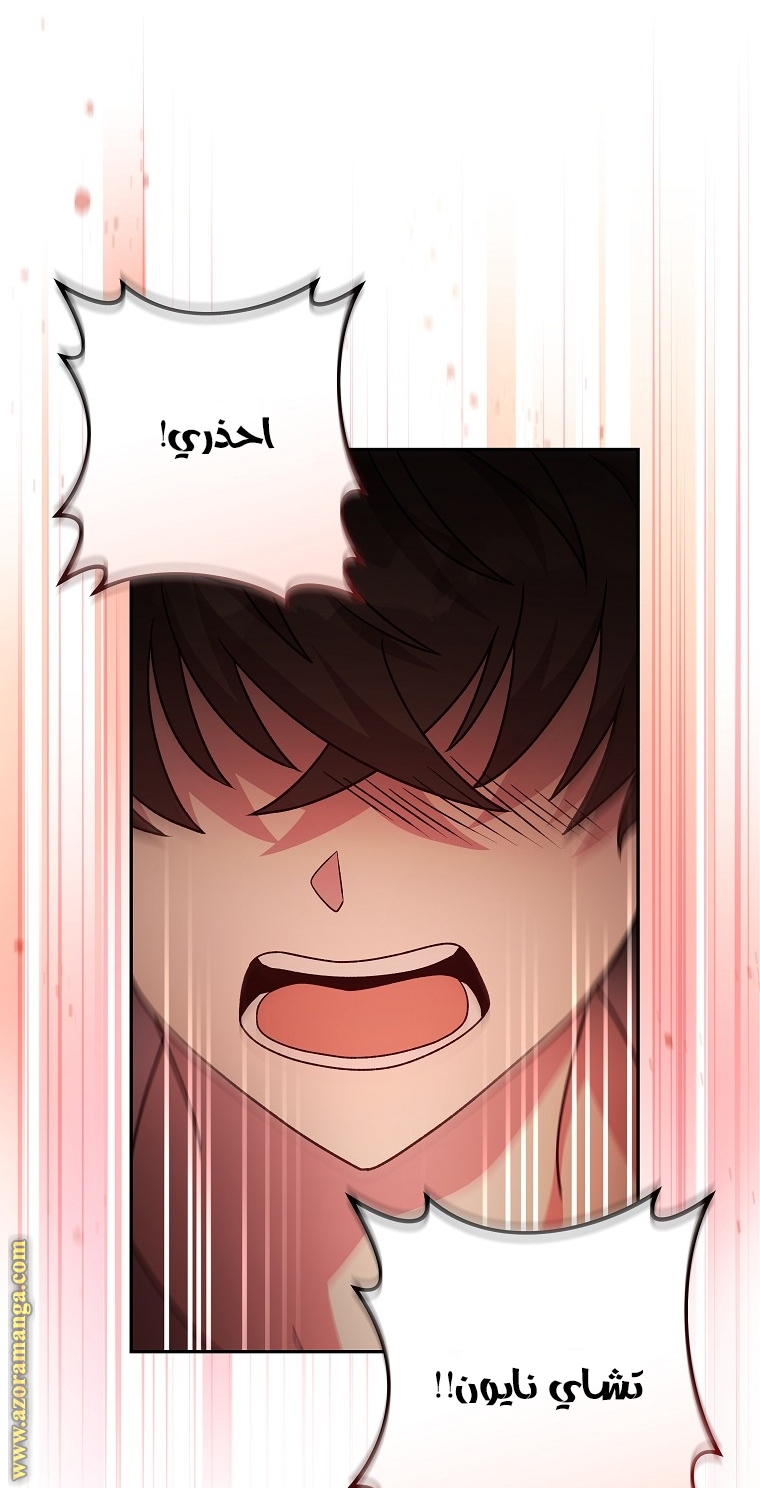 الصفحة 66