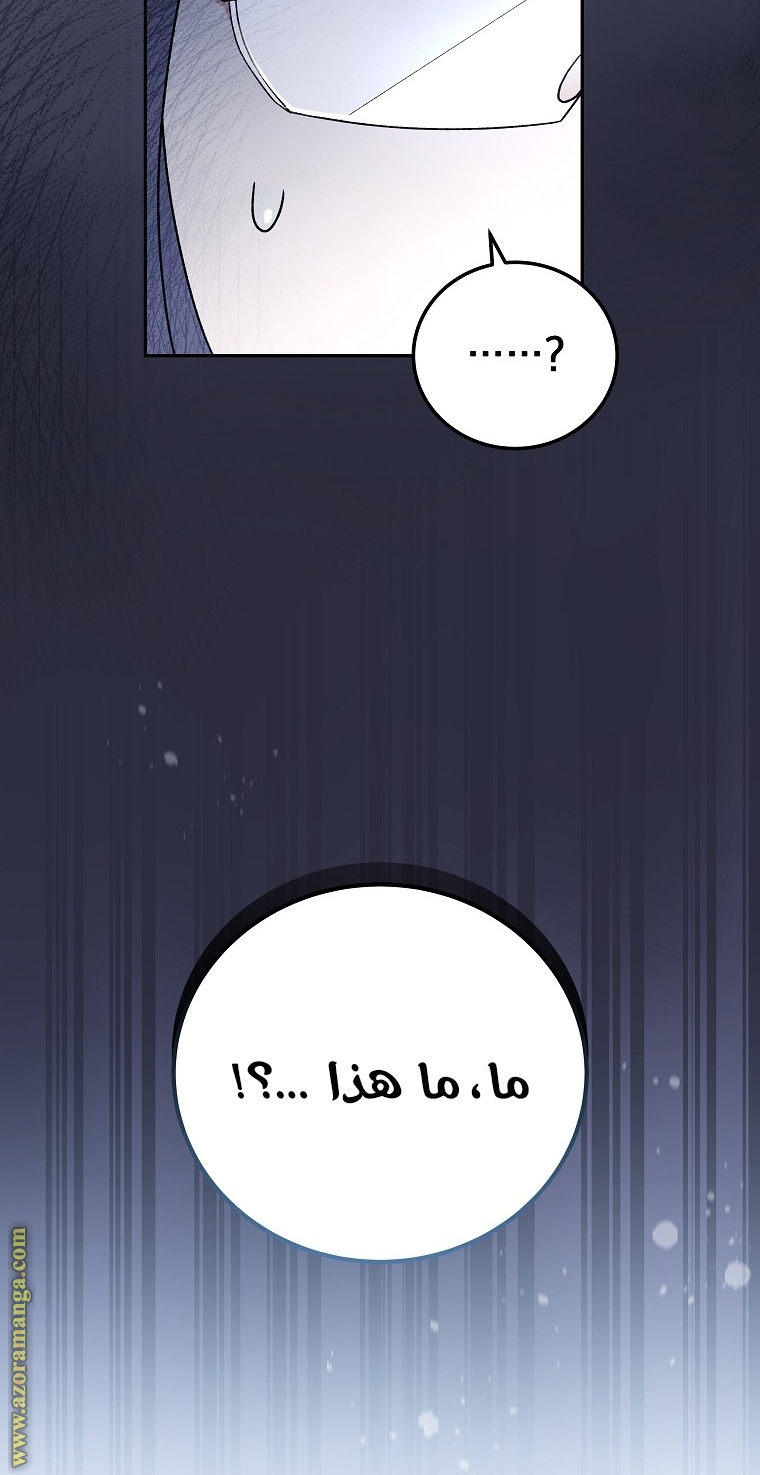الصفحة 97