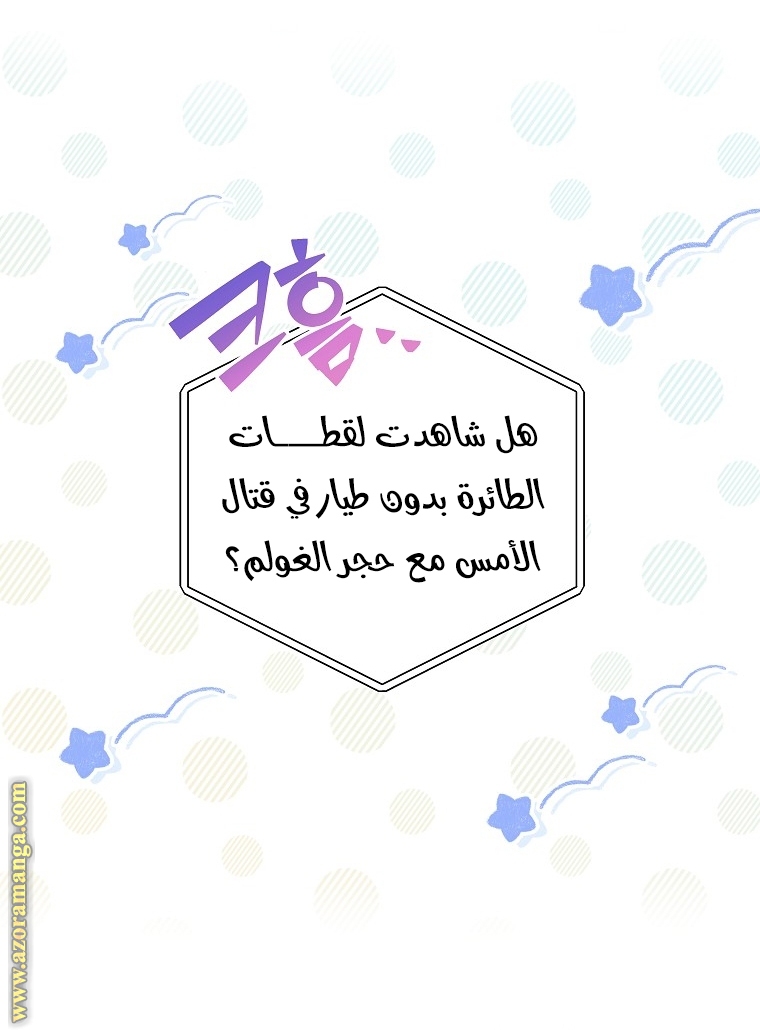 الصفحة 48