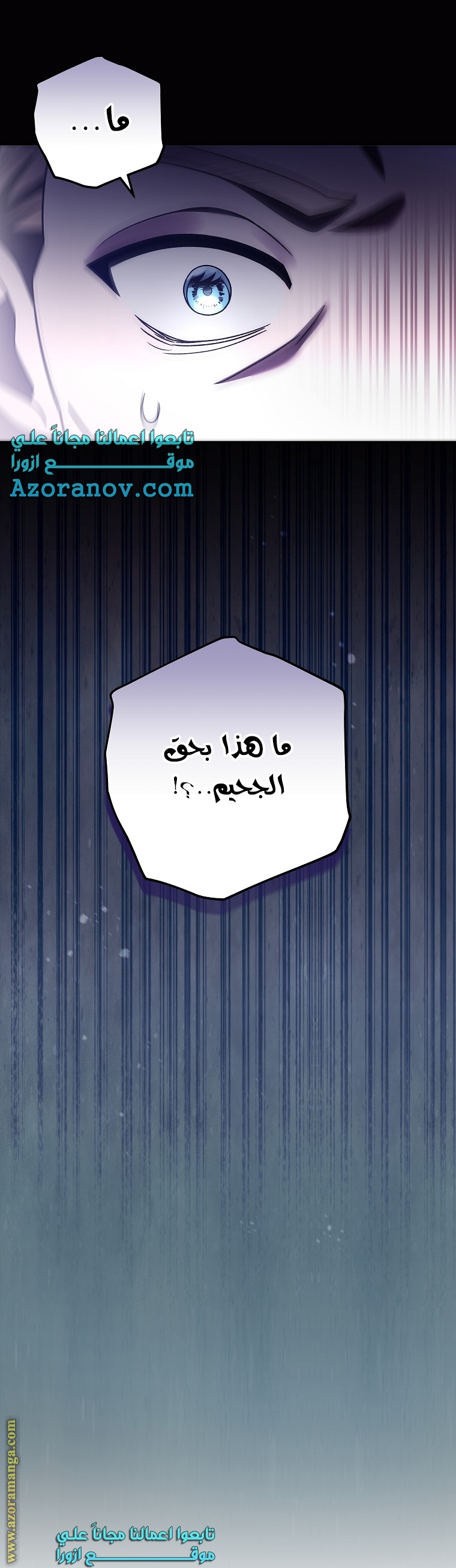 الصفحة 29