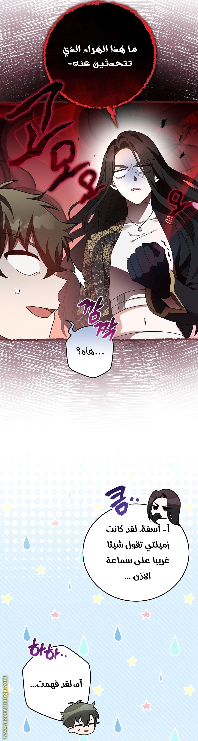 الصفحة 27