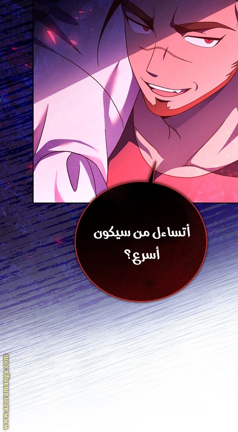 الصفحة 45