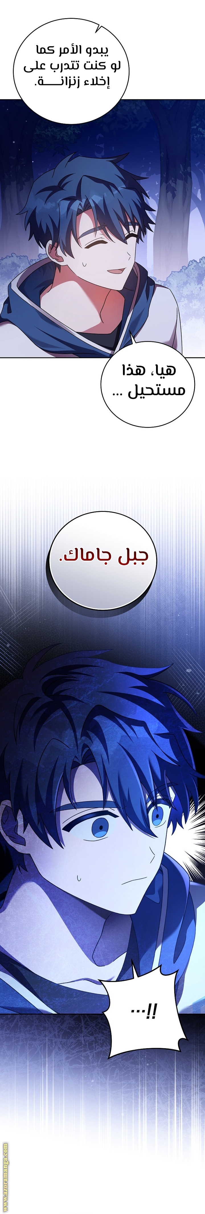 الصفحة 29