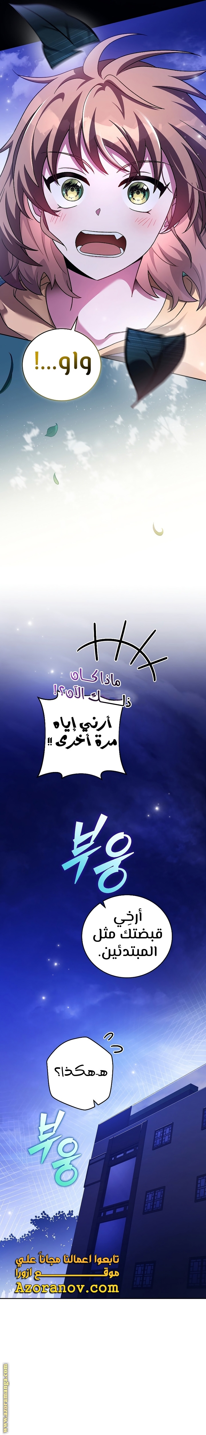 الصفحة 13