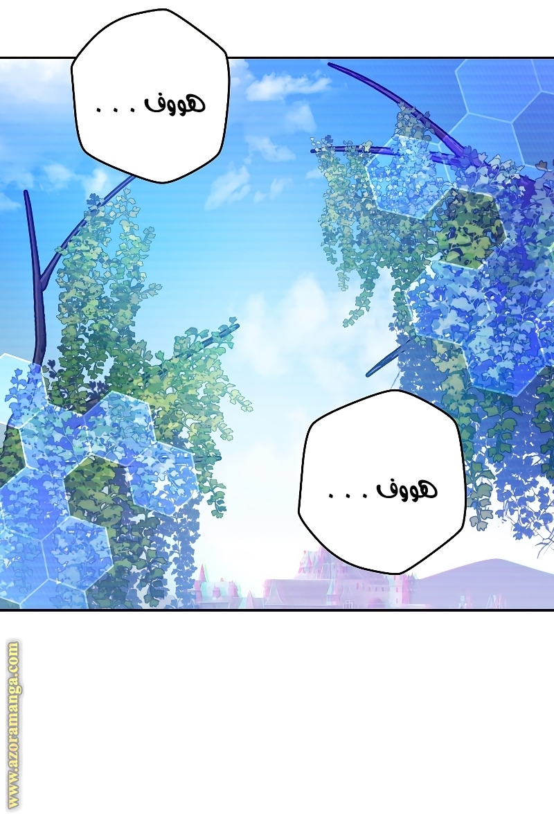 الصفحة 25