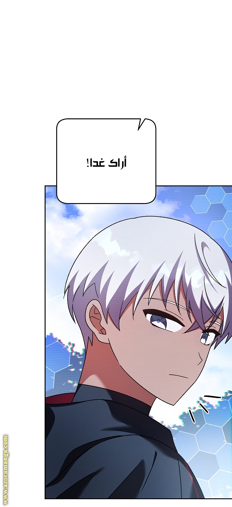 الصفحة 31