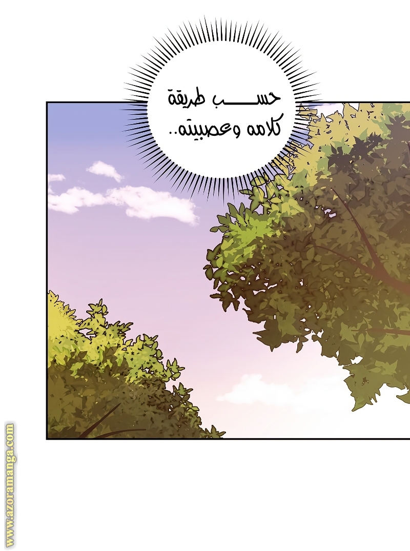 الصفحة 42
