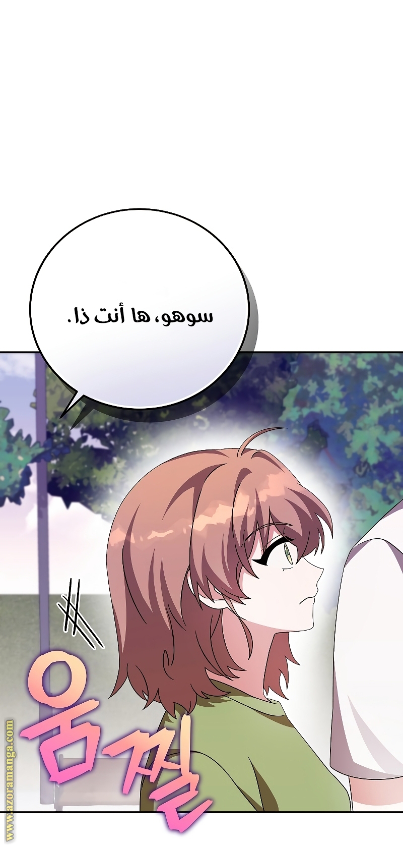 الصفحة 52