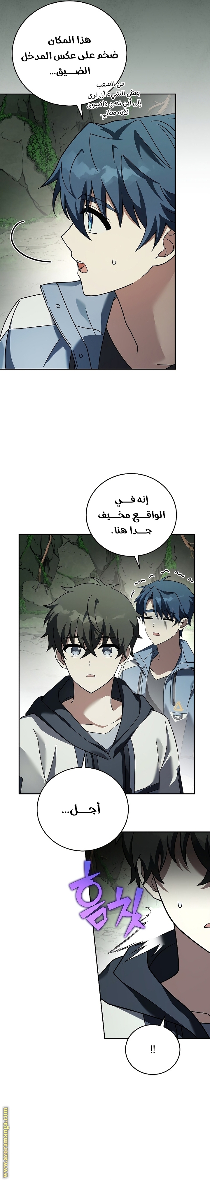 الصفحة 25