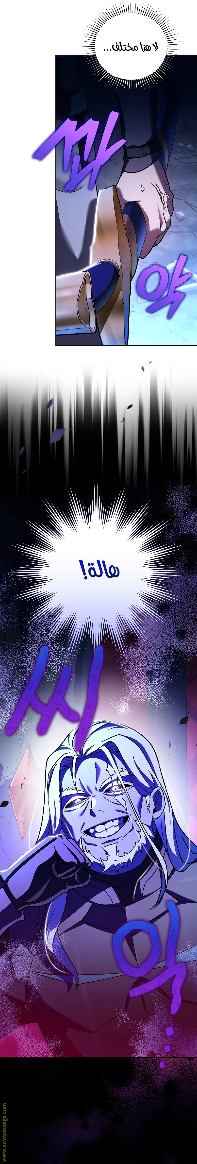 الصفحة 13