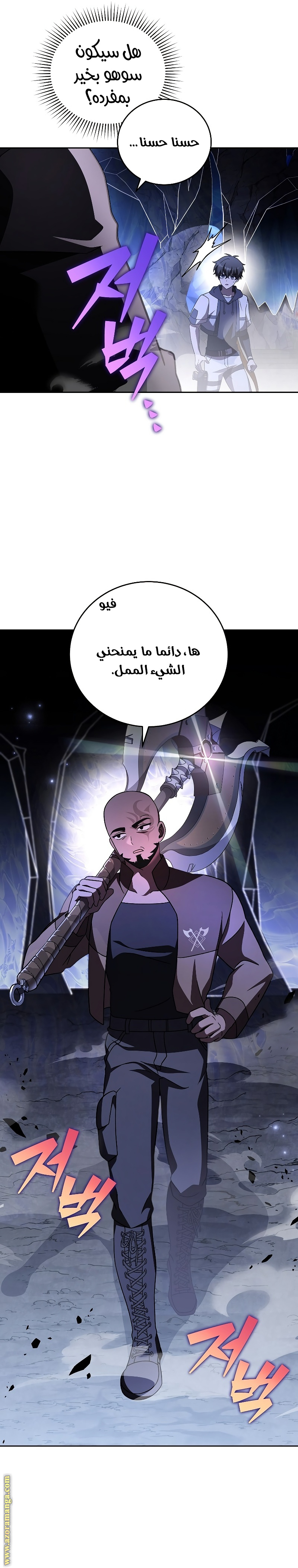 الصفحة 13