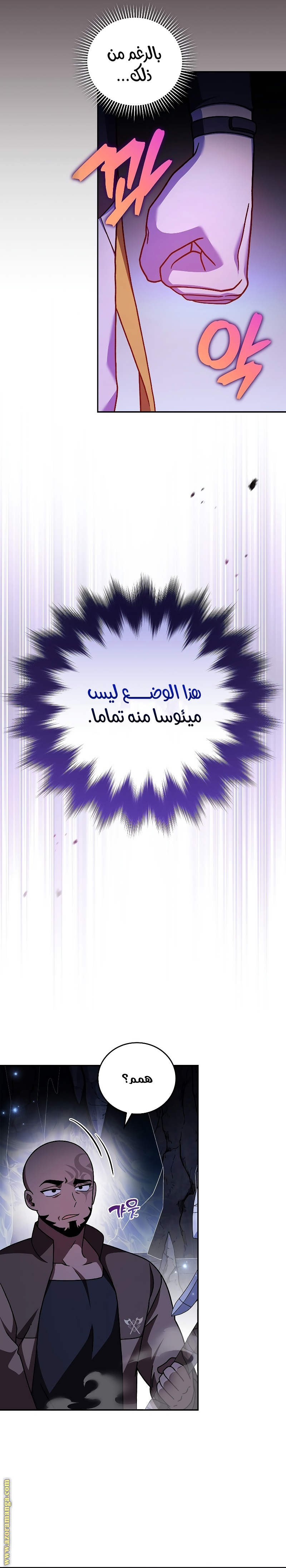 الصفحة 17