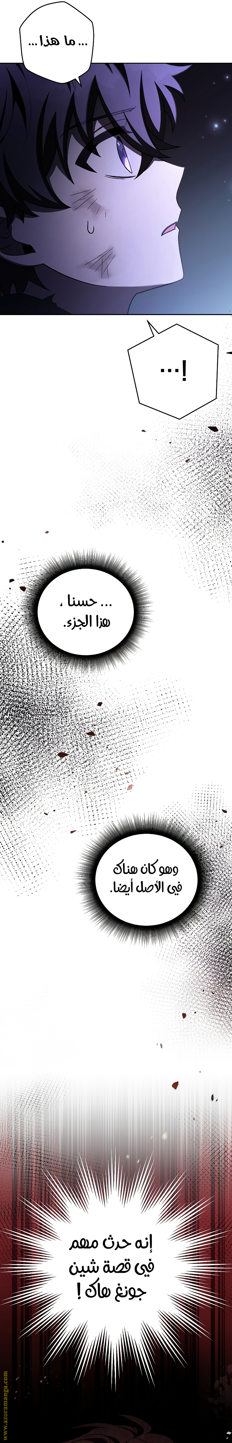 الصفحة 13