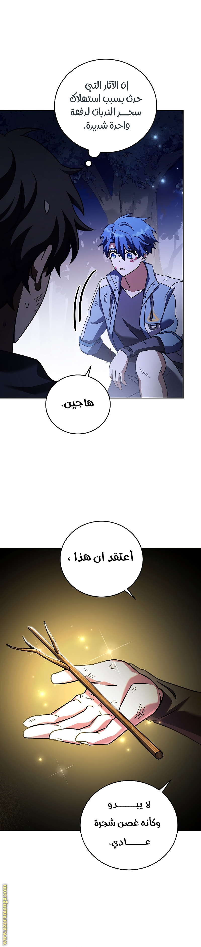 الصفحة 25