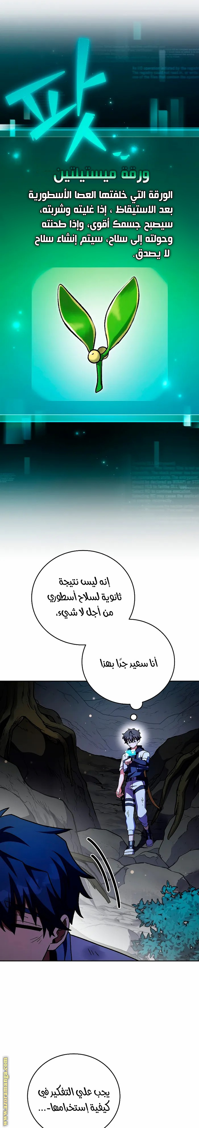 الصفحة 13