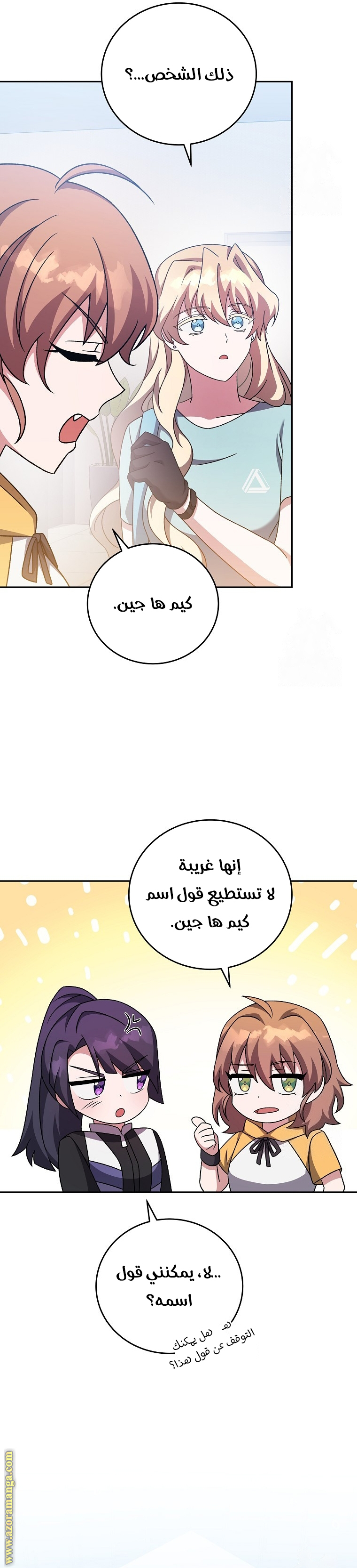 الصفحة 17