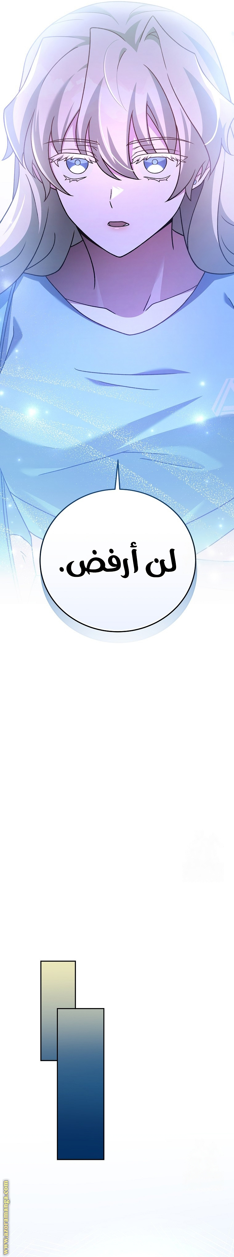 الصفحة 27