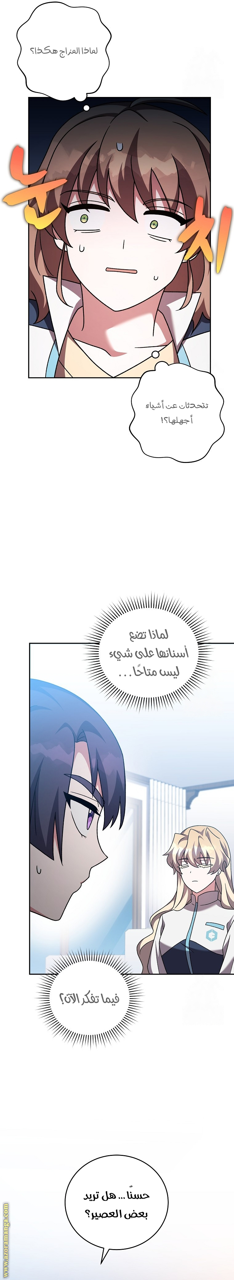 الصفحة 29