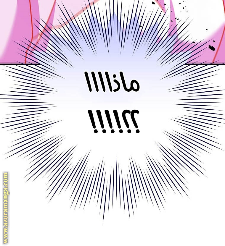 الصفحة 46
