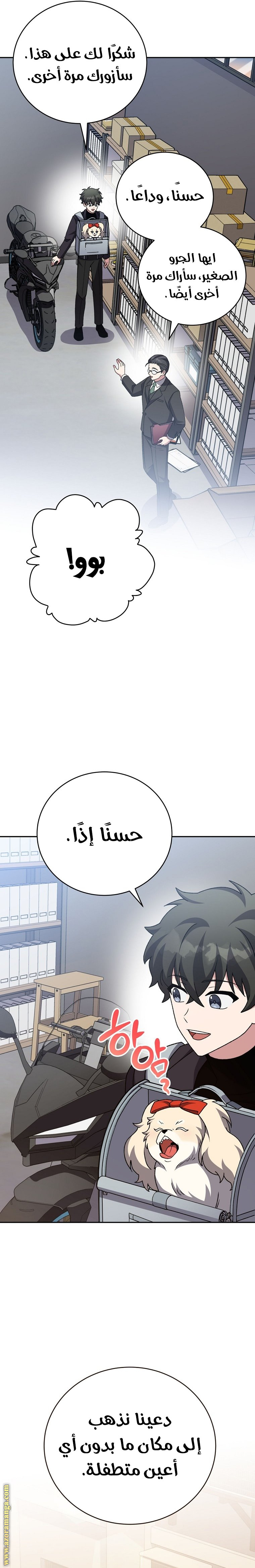 الصفحة 26