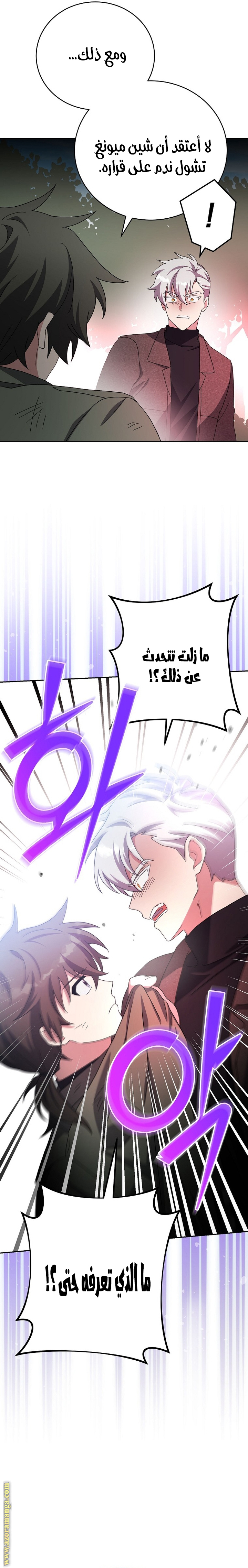 الصفحة 26