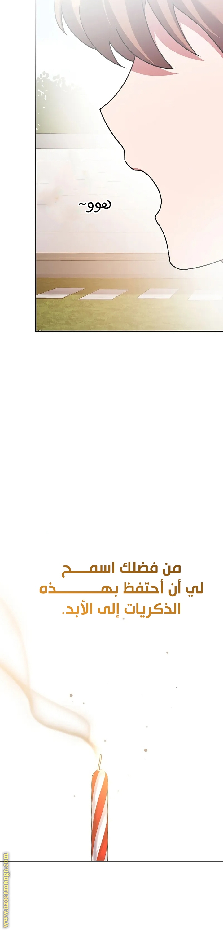 الصفحة 45
