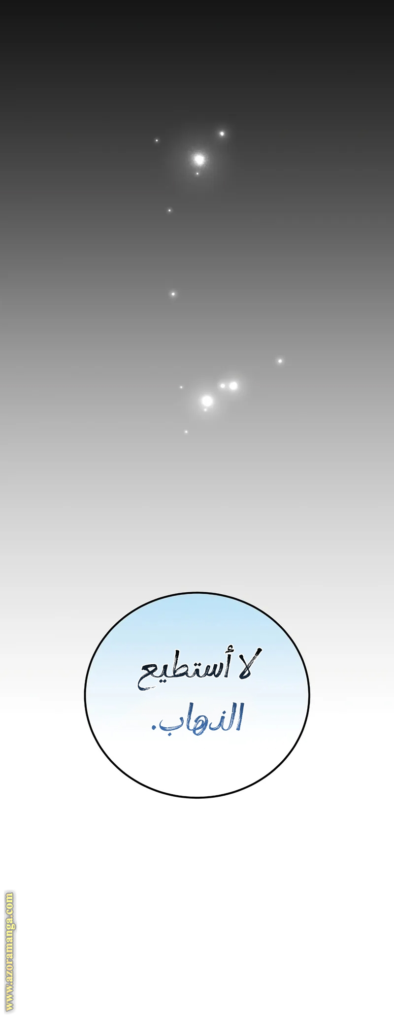 الصفحة 21