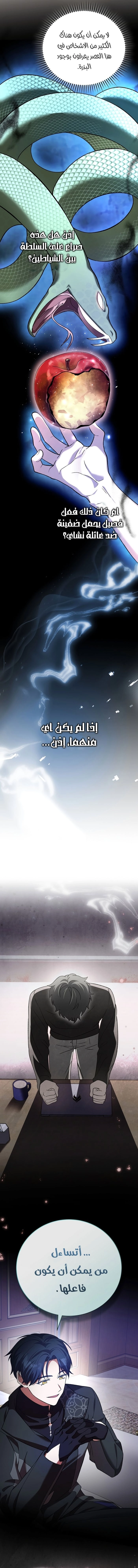 الصفحة 17