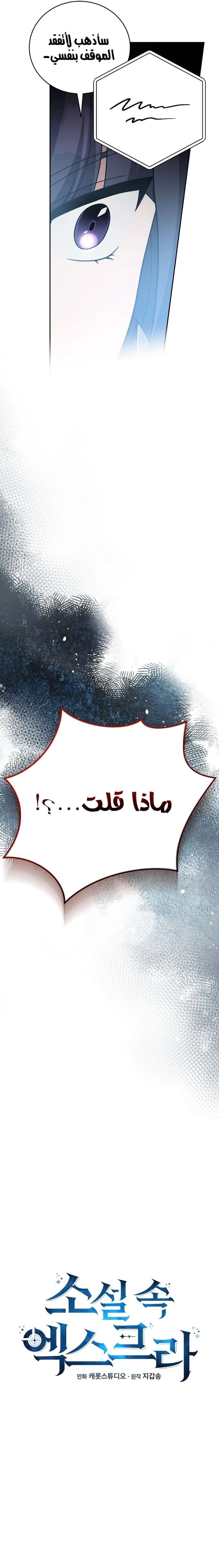 الصفحة 31