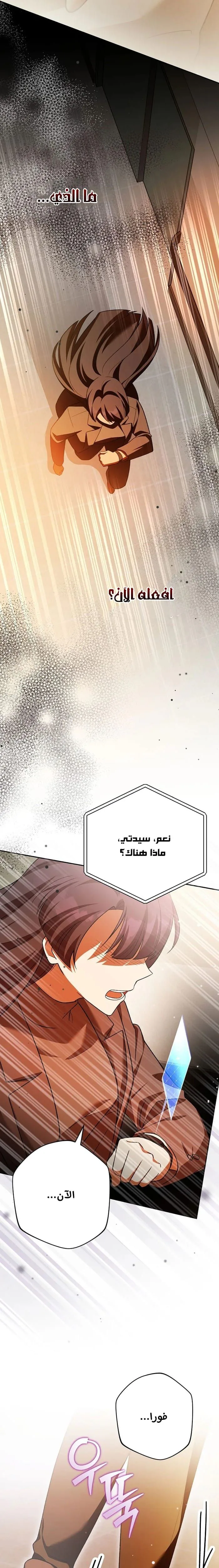 الصفحة 41