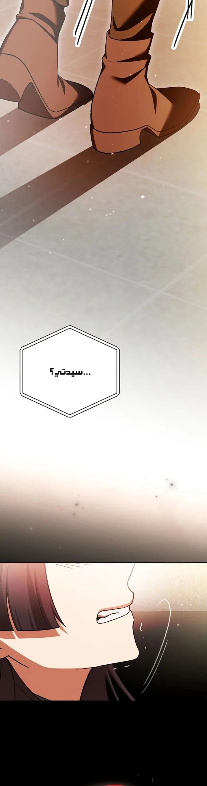 الصفحة 42