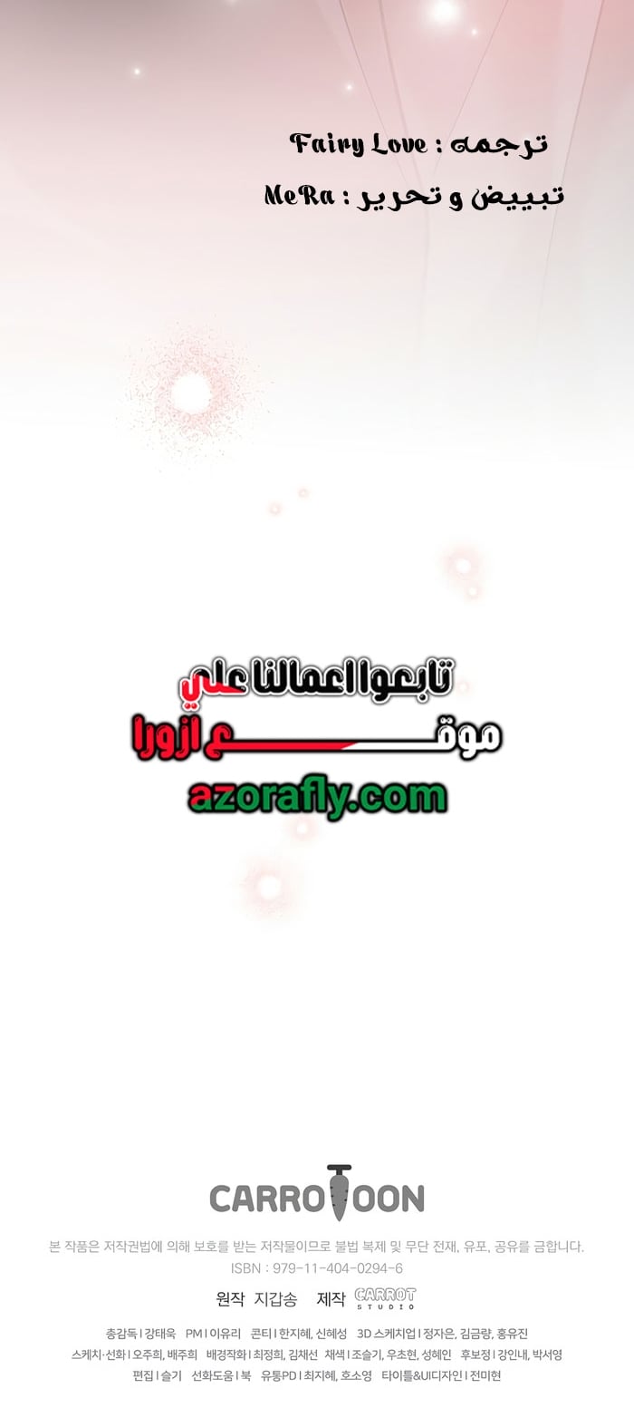 الصفحة 17