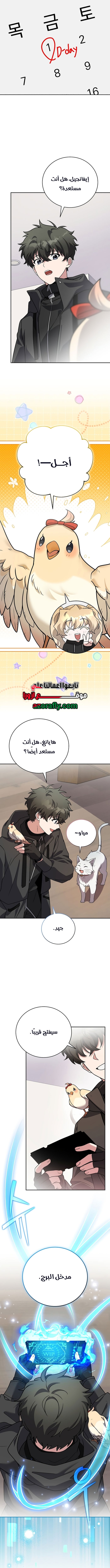الصفحة 13