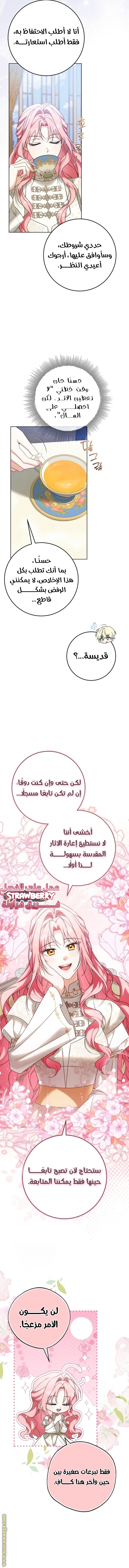 الصفحة 13