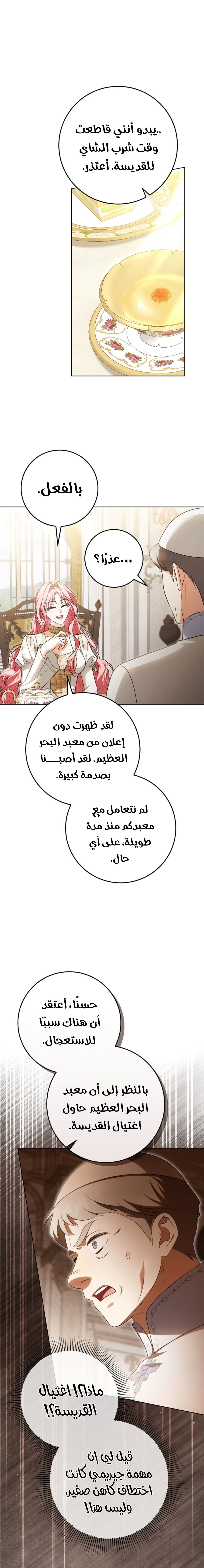 الصفحة 25