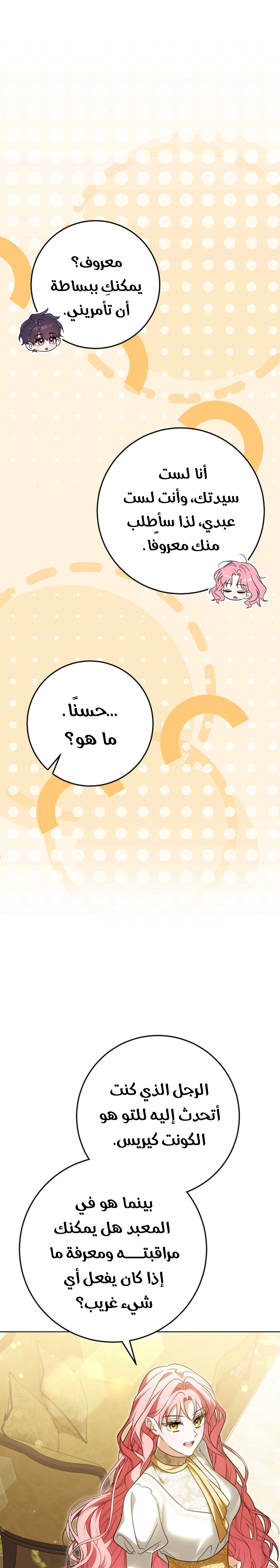 الصفحة 20