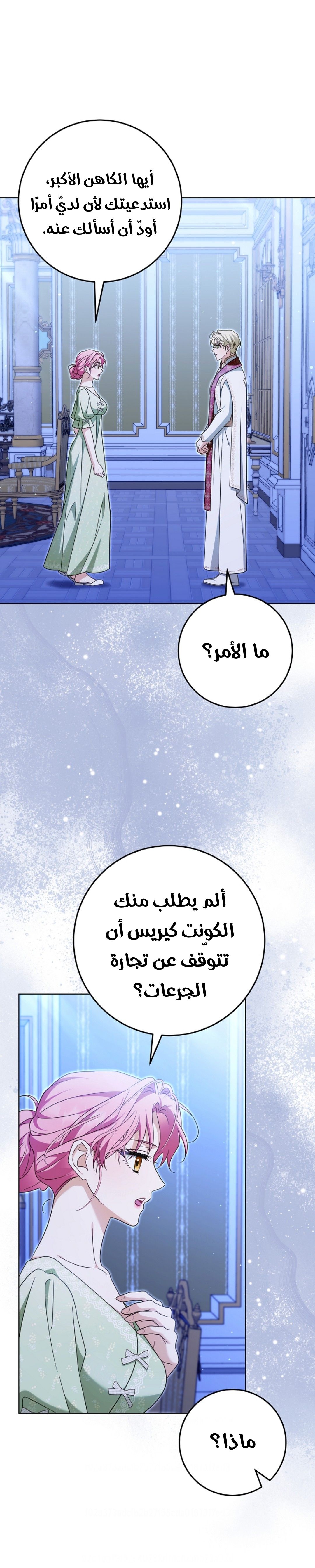 الصفحة 13