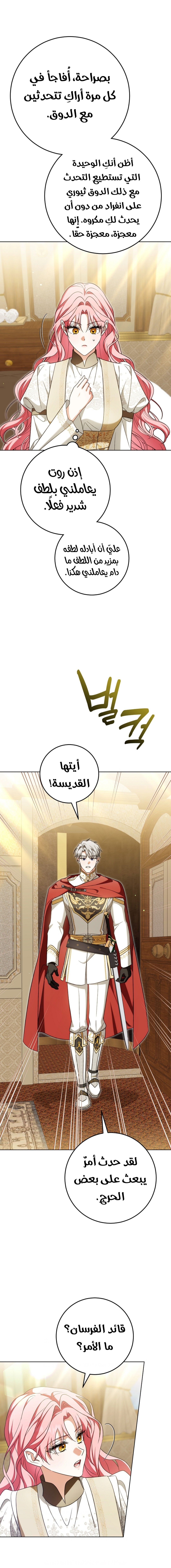 الصفحة 15