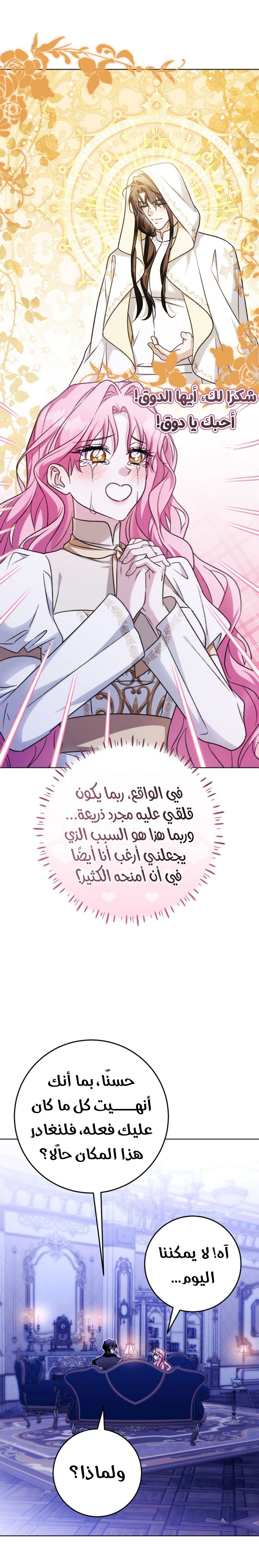 الصفحة 17